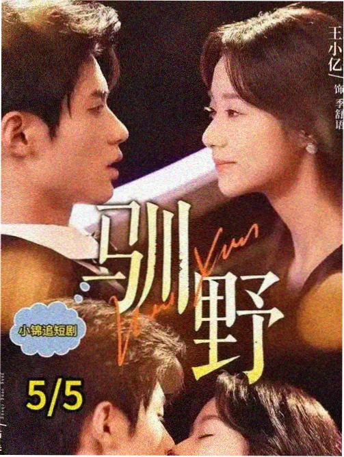 中文久久 热播剧集《深渊回响》